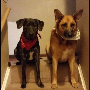 Meet your Posher, Pam